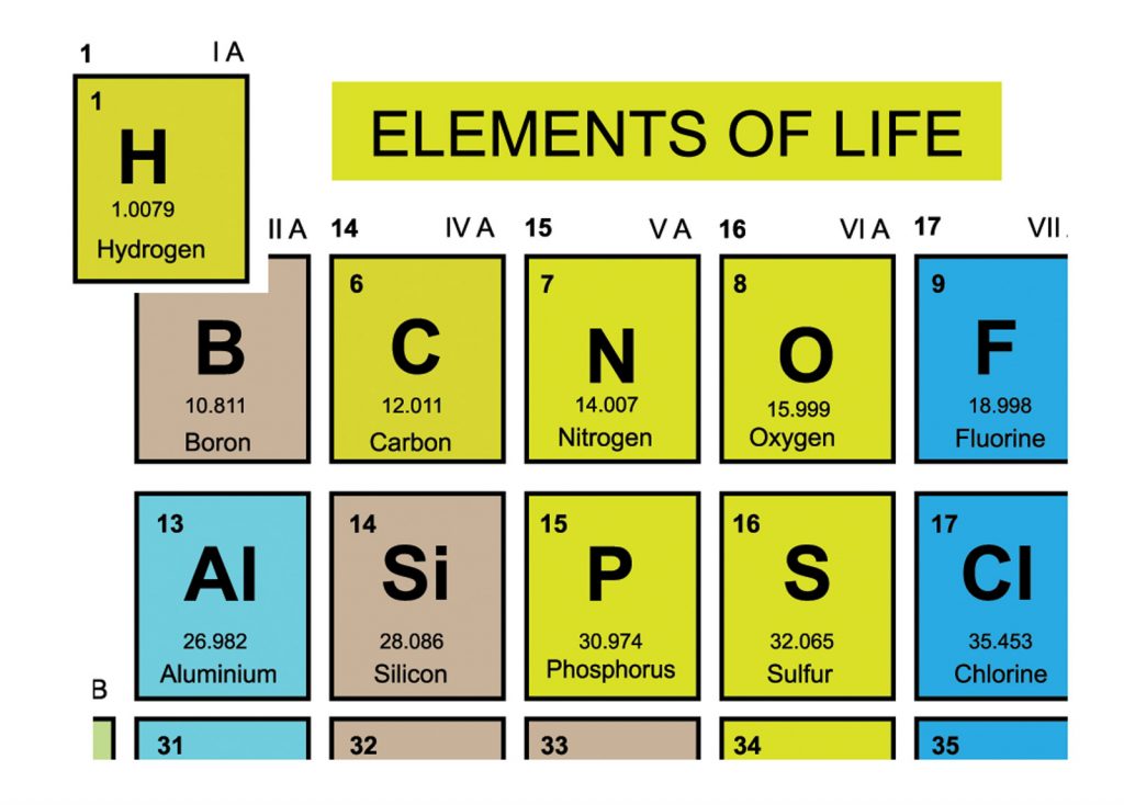 What Are The Elements For Life