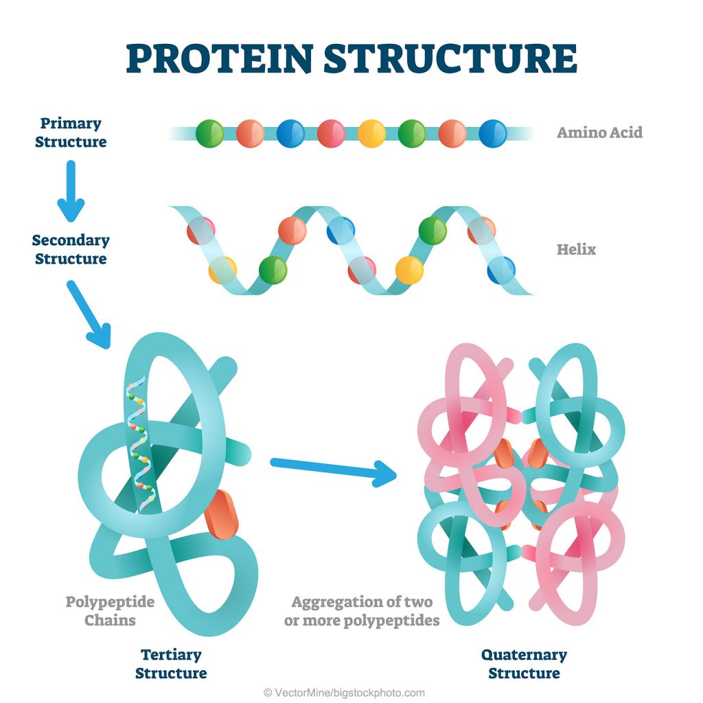 Protein Structure 1024x1024 