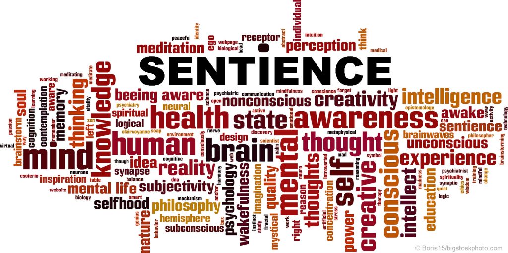Senient Sentient Beings and Purpose - DOES GOD EXIST? TODAY